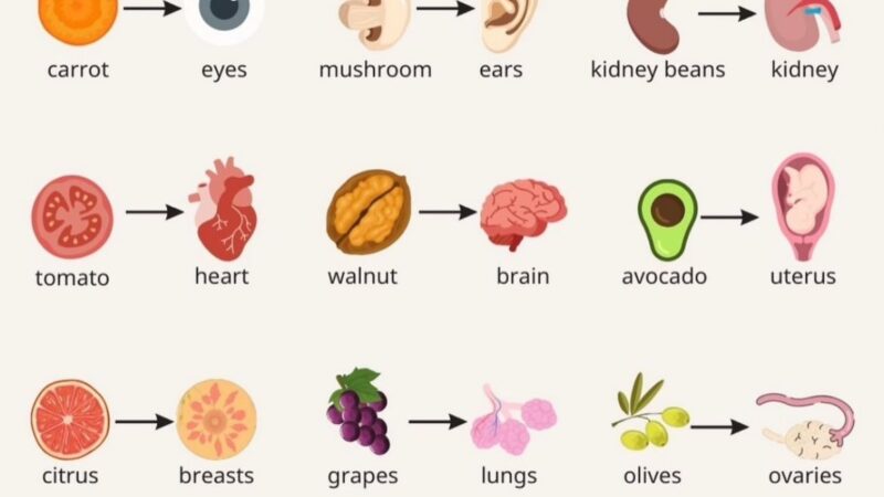 Food is Your Medicine: How Natural Foods Resemble and Heal the Human Body